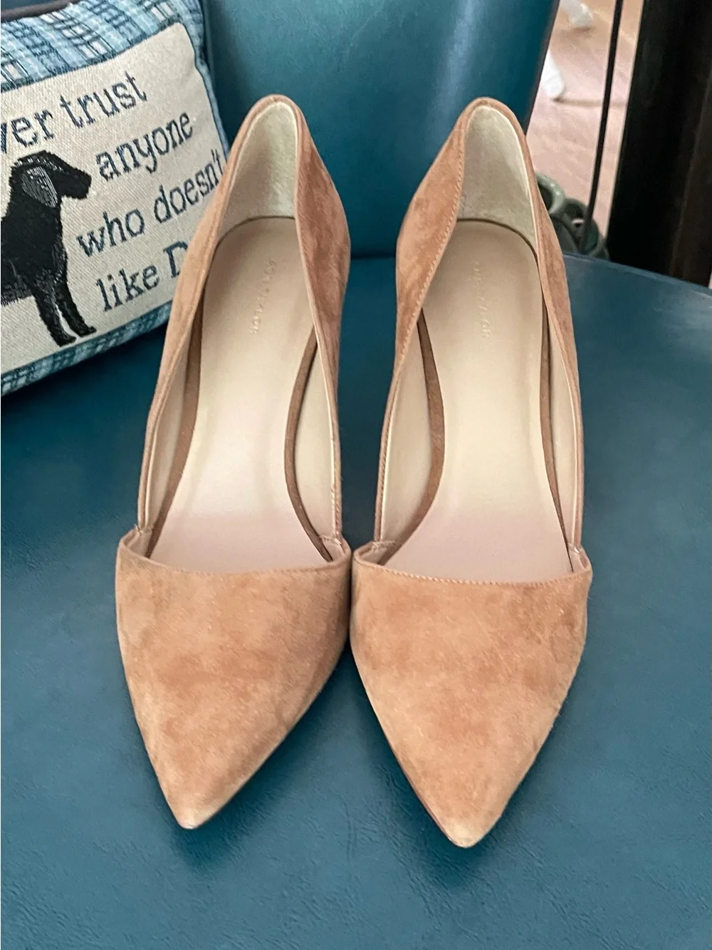 Ann Taylor Suede Pointed High Heels in Camel